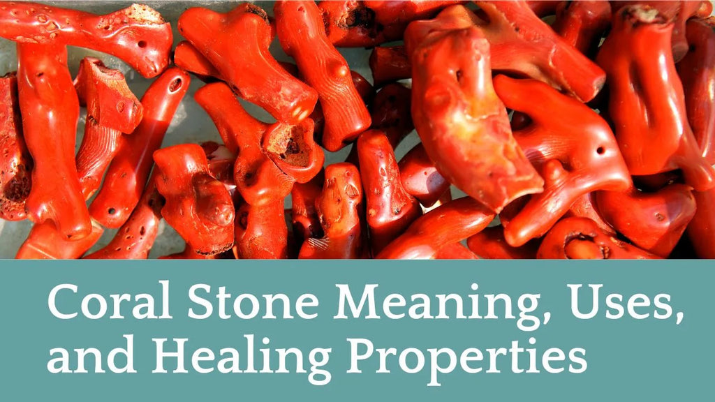 Coral Stone Meaning, Uses, and Healing Properties
