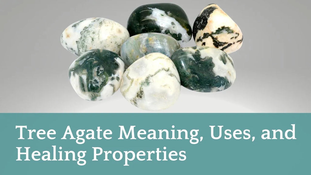 Tree Agate Meaning, Uses, and Healing Properties