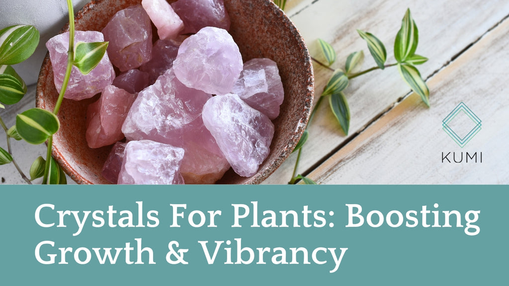 Crystals For Plants: Boosting Growth & Vibrancy