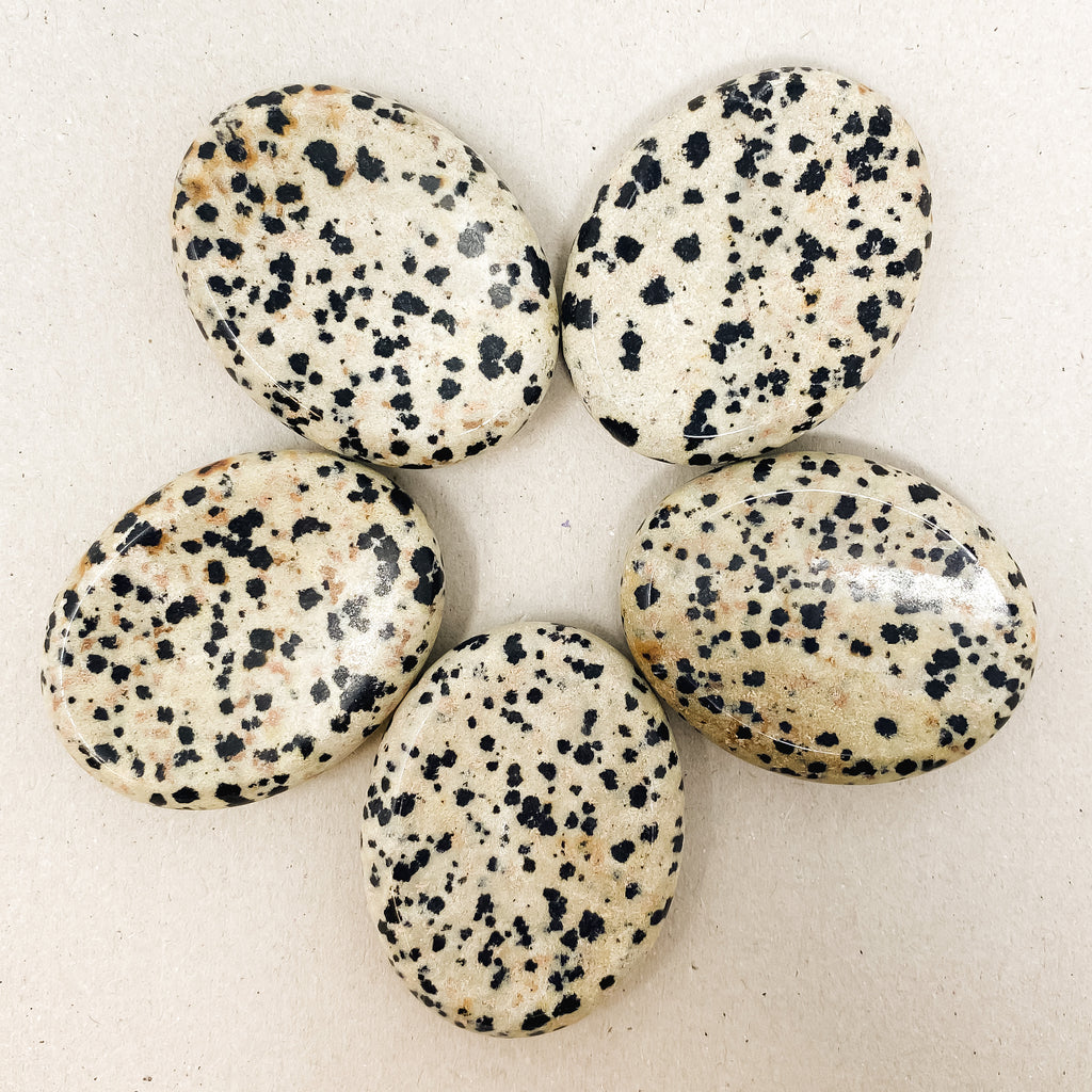 Natural Dalmatian Jasper Worry Stone