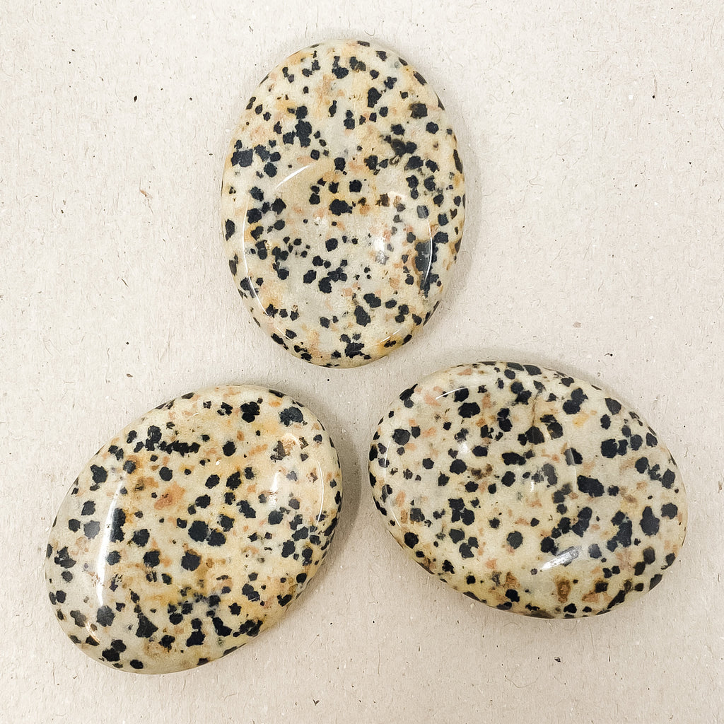 Small Dalmatian Jasper Worry Stone