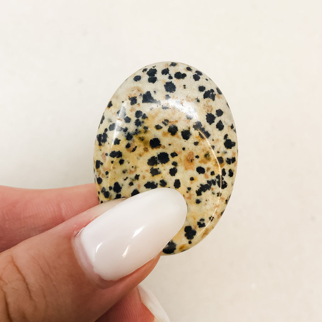 Small Dalmatian Jasper Worry Stone