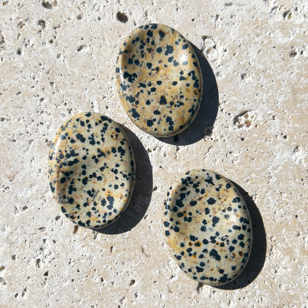 Small Dalmatian Jasper Worry Stone